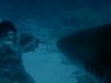 Зомби против акулы - кадры из фильма Зомби: Пожиратели Плоти