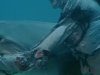 Зомби против акулы - кадры из фильма Зомби: Пожиратели Плоти