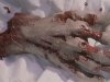 Кадры из фильмов про зомби - Зомби: Пожиратели Плоти